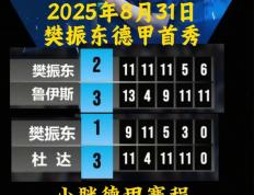 世俱杯分组-德国队碾压法国队，樊振东扛起全队