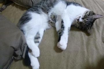 世俱杯改制-个体闪光难敌体系碾压，久保建英纪录夜背后的足球哲学沉思