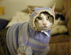 世俱杯-班凯罗关键爆发，76人全面压制轻取活塞