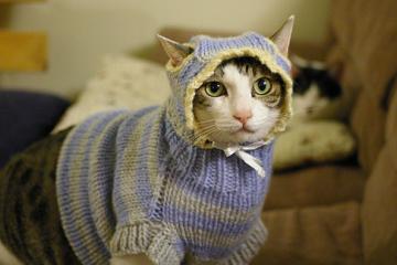 世俱杯-班凯罗关键爆发，76人全面压制轻取活塞