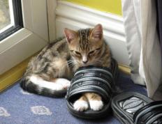 世俱杯分组-劳塔罗主宰战局，国际米兰友谊赛力克委内瑞拉