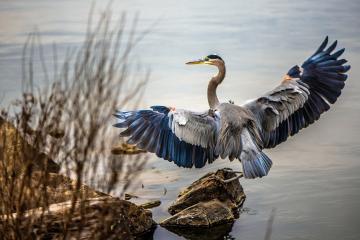 世俱杯2025-冷门与热门的交响曲，哥伦比亚足球的逆袭与NBA季后赛的王者时刻