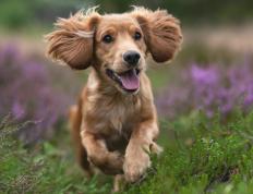 世俱杯2025-双城记，当伯纳乌的呐喊遇上美航中心的沉默—东契奇在另一个国家德比夜写就完美诗篇