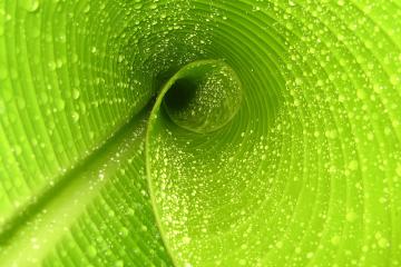 世俱杯-拉文狂砍47分主宰关键战，深圳队末节逆转骑士获三连胜