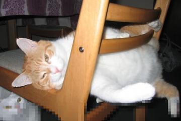 世俱杯赛程-奥地利3-1乌克兰，福登替补定乾坤，战术大师朗尼克的压制哲学