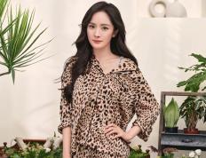 世俱杯赛程-数据迷雾中的逆袭者，厄德高如何用一剑封喉撕裂西班牙精密体系