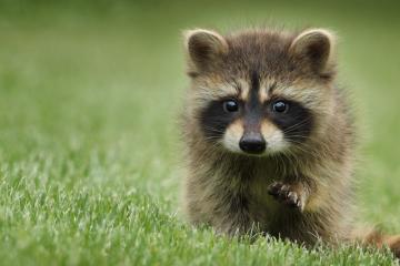 世俱杯2025-破晓之战，2026世界杯之夜的永恒高能篇章