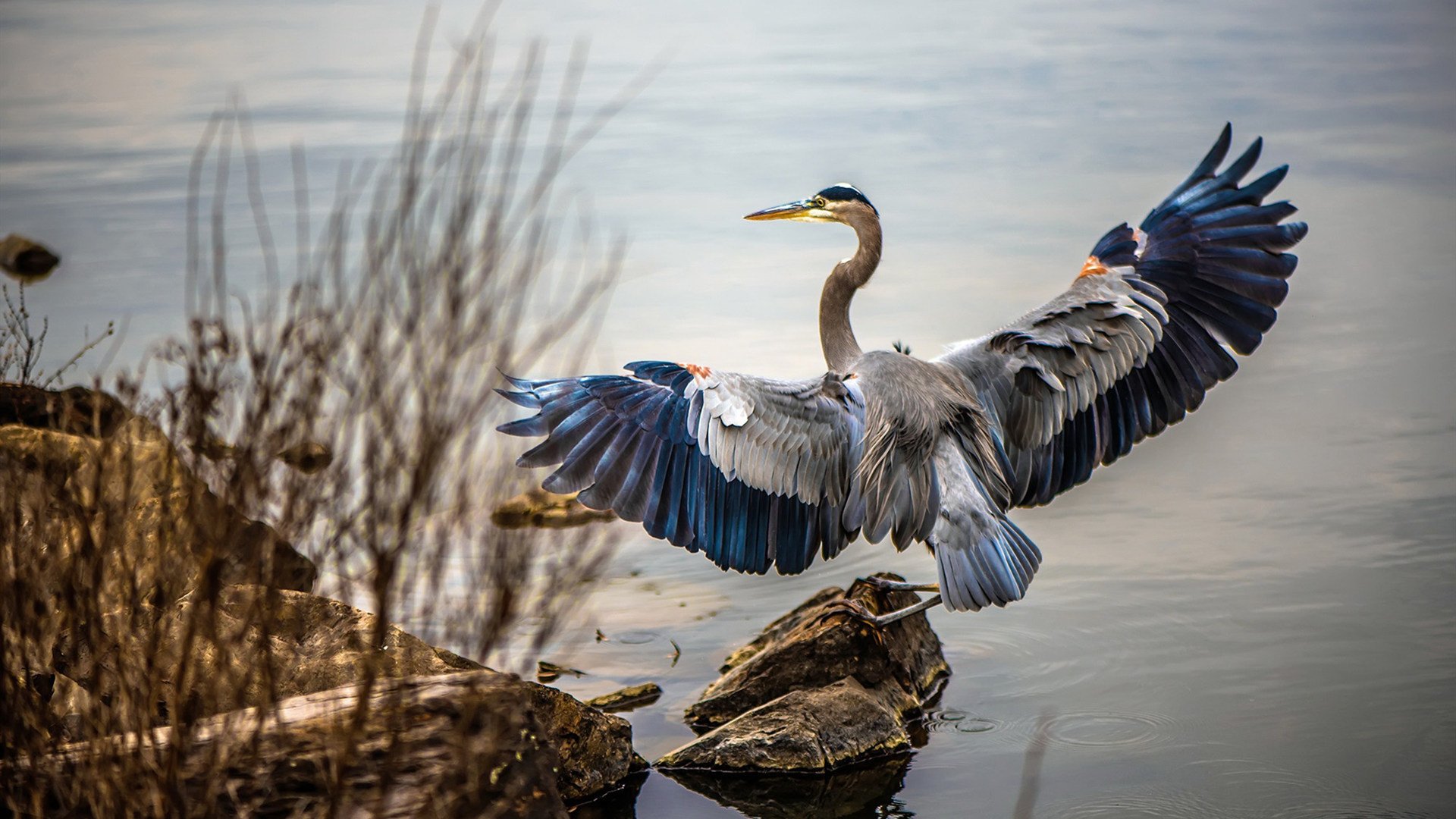 世俱杯2025-绝地逆转！最后时刻战车碾碎格子军，奥利维耶硬仗之王实至名归