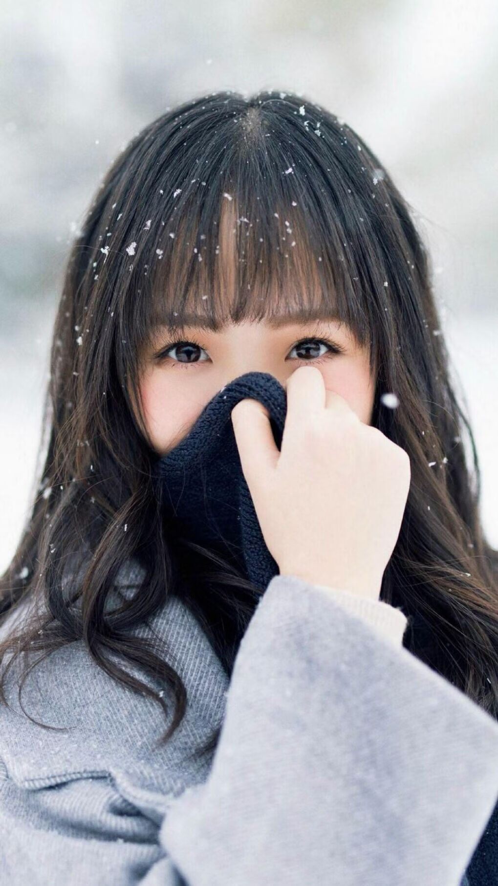 世俱杯分组-鹈鹕狂潮压垮快船!霍勒迪关键先生实至名归