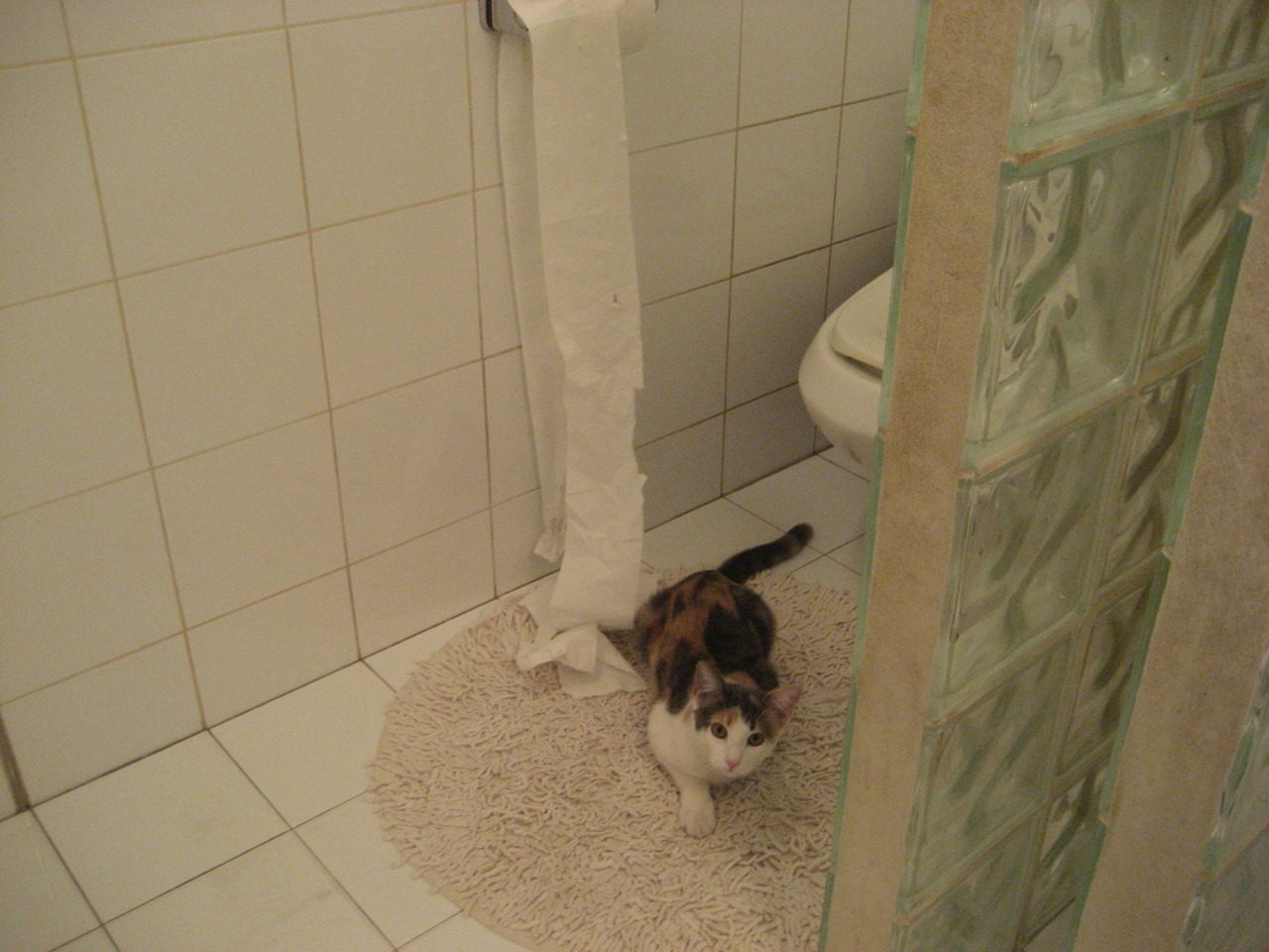 世俱杯赛程-节拍器东契奇，一次传球如何搅动胜负天平，爵士在太阳陨落的余晖中奏响终章