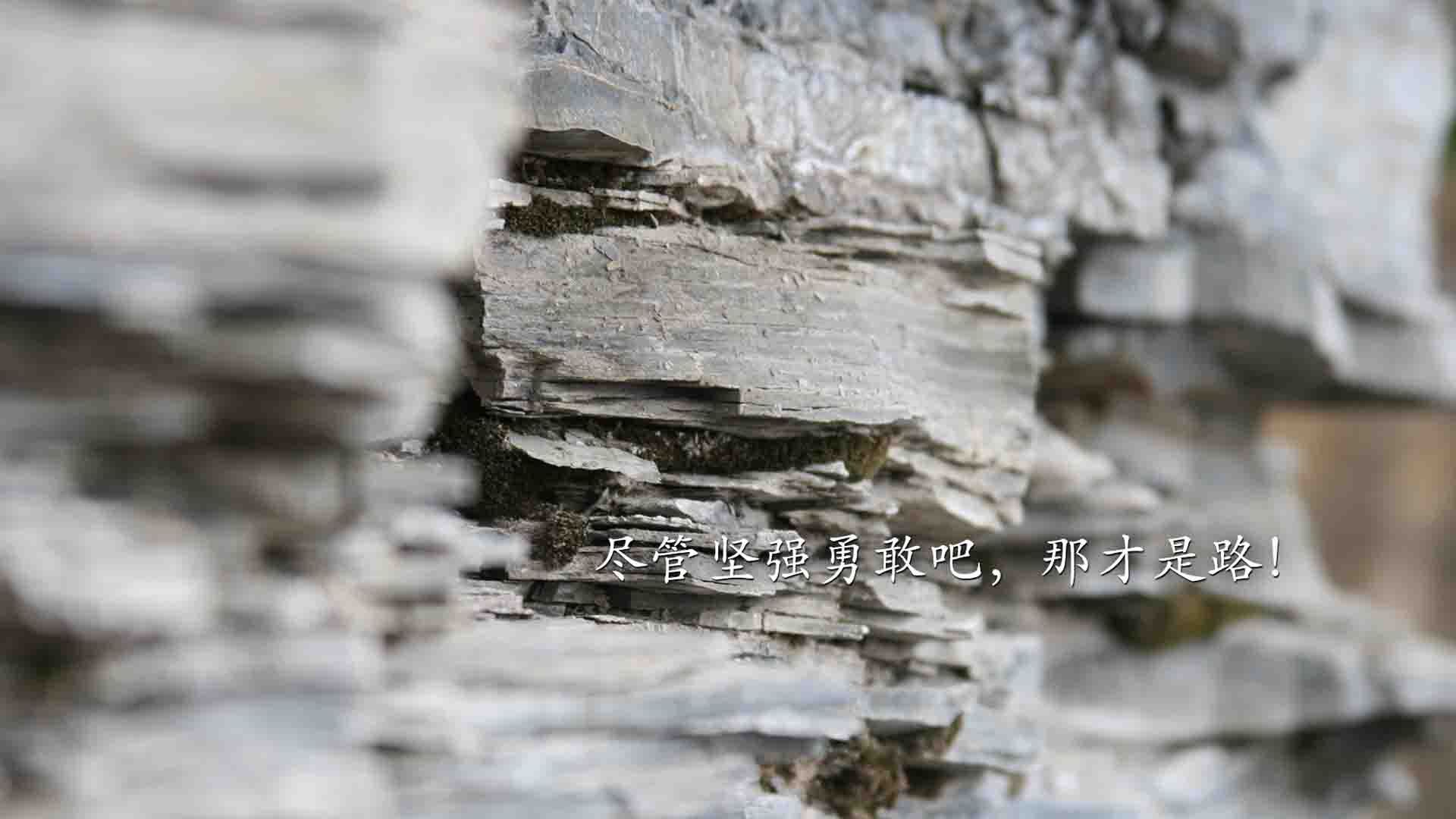 世俱杯决赛-波兰战术机器无情碾碎亚特兰大,老将皮克一锤定音化身关键先生