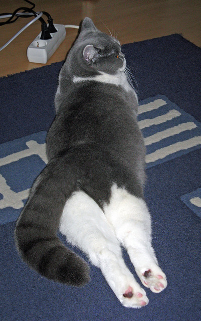 世俱杯-绝杀时刻，穿越十年的回响，德罗赞的欧冠淘汰赛之夜