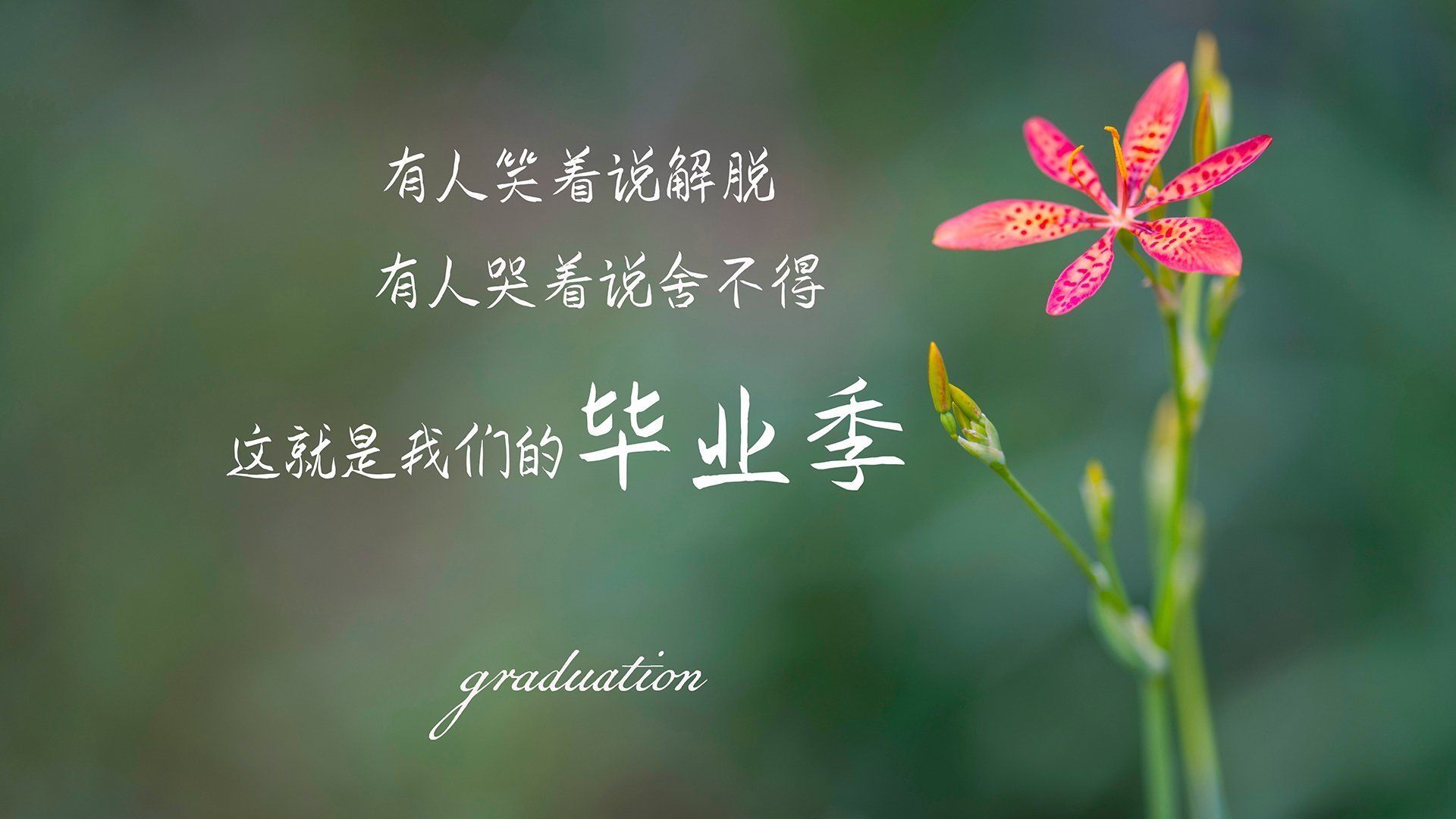 世俱杯直播-控场为刃，塔图姆的冷血掌控与湖人的团队交响曲