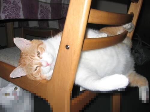 世俱杯赛程-奥地利3-1乌克兰,福登替补定乾坤,战术大师朗尼克的压制哲学