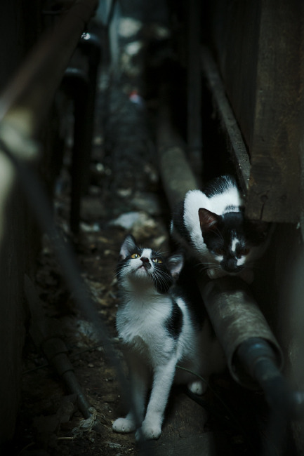 世俱杯分组-铁血金字塔锁死马德里,奥利维耶一箭封喉成关键先生